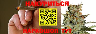 Альфа ПВП Аргун
