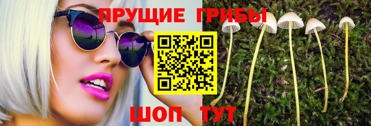 Воронеж  Галлюциногенные грибы GOLDEN TEACHER  Вход с VPN  Псилоцибиновые грибы GOLDEN TEACHER 