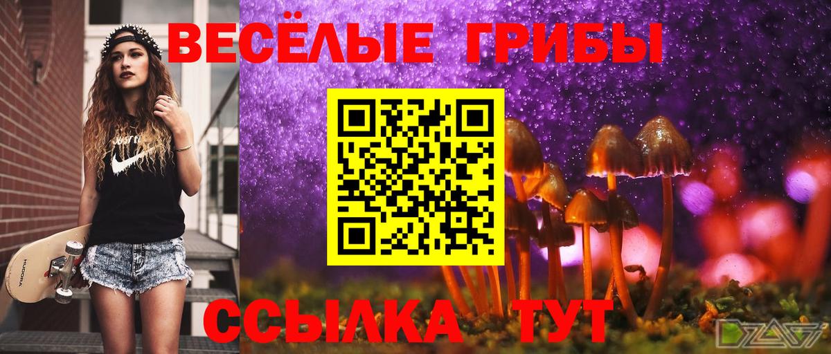 Псилоцибиновые грибы Psilocybine cubensis Воронеж
